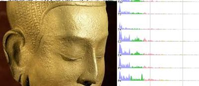 Neuroscience of Meditation: Three Things to Know About Your Brain on Silent Mode