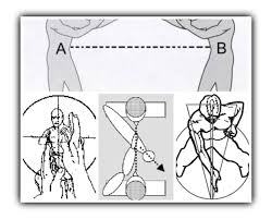 Internal and External Geometry of Motion